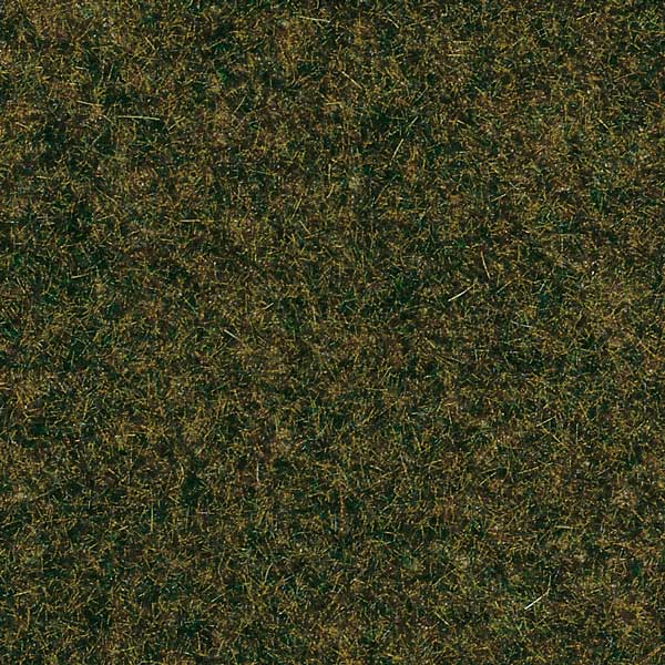 Forest floor<br /><a href='images/pictures/Auhagen/75114.jpg' target='_blank'>Full size image</a>